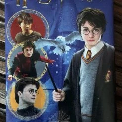 Panini Harry Potter Value Pack - 24 Cards En 2 Bonus Cards