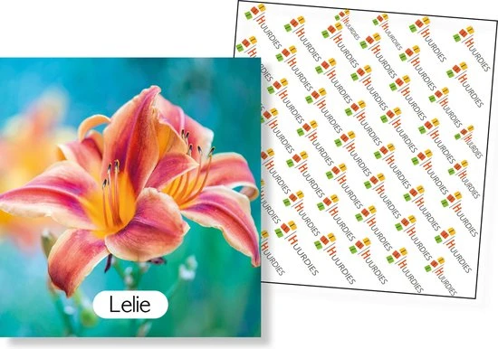 Huurdies Cadeautip! Educatief Bloemen Memory Spel - Bloemen Soorten - Educatief Memory Spel - 70 Stuks - Schoencadeautjes Sinterklaas - Afbeelding 4