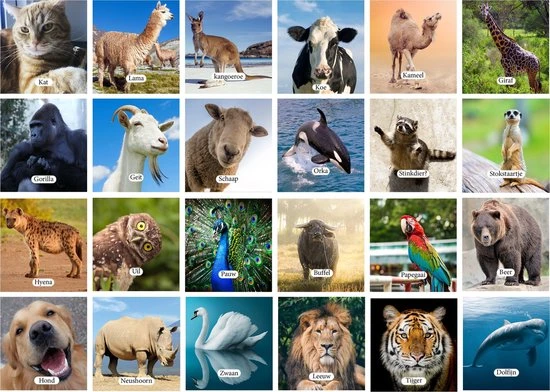 Huurdies Cadeautip! Educatief Dieren Memory Spel - Dierenspel - Dierensoorten Spel - Memoryspel Dieren Met Bijhorende Benamingen- Memory Spel - 70 Kaarten - Schoencadeautjes Sinterklaas