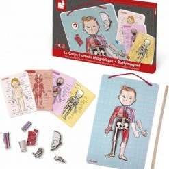 Janod Magneetspel: Het Menselijk Lichaam - In 12 Talen